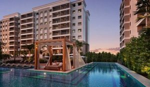 How much is a visa extension in Brazil