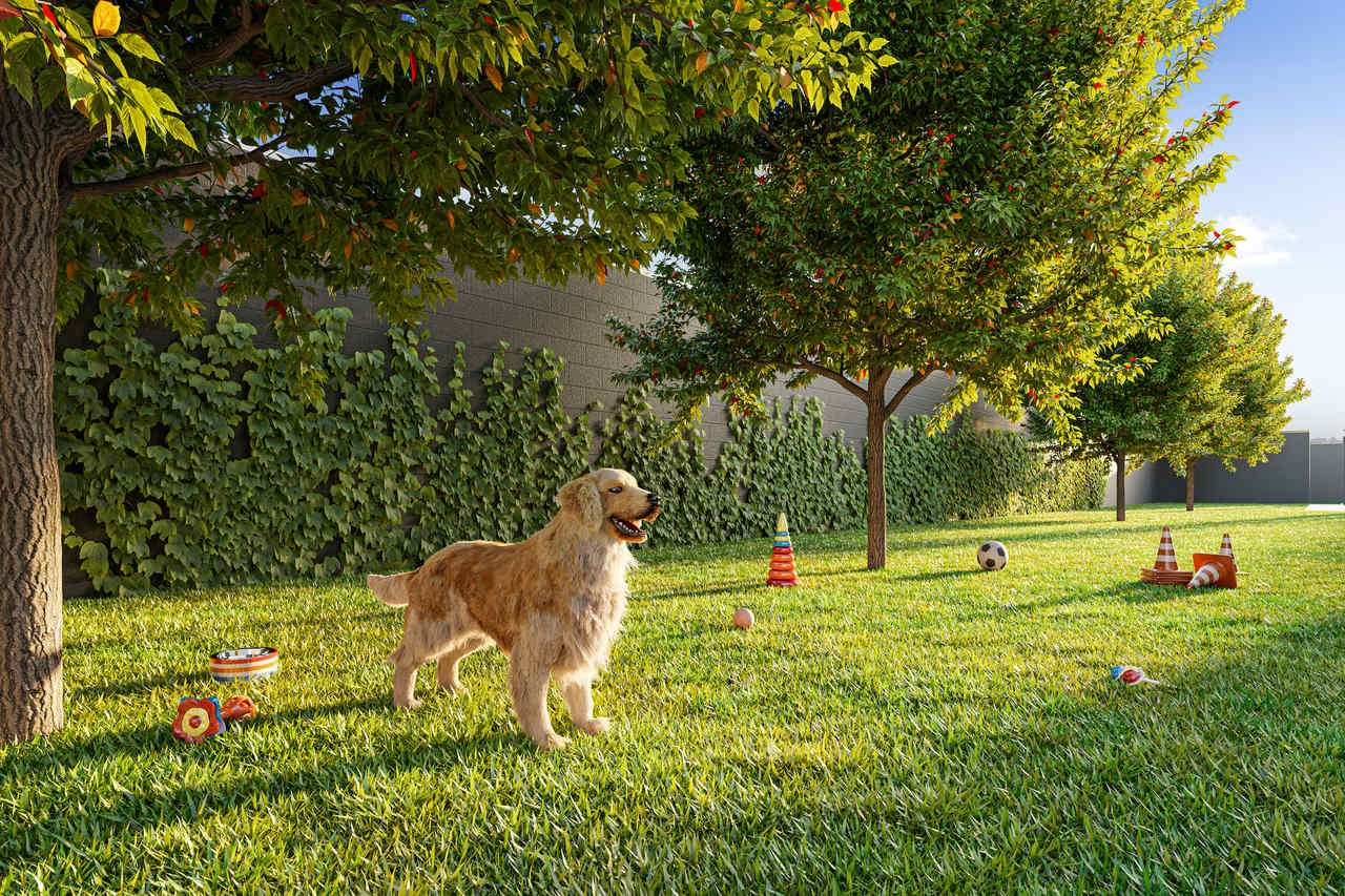 How can I buy real estate in Brazil10