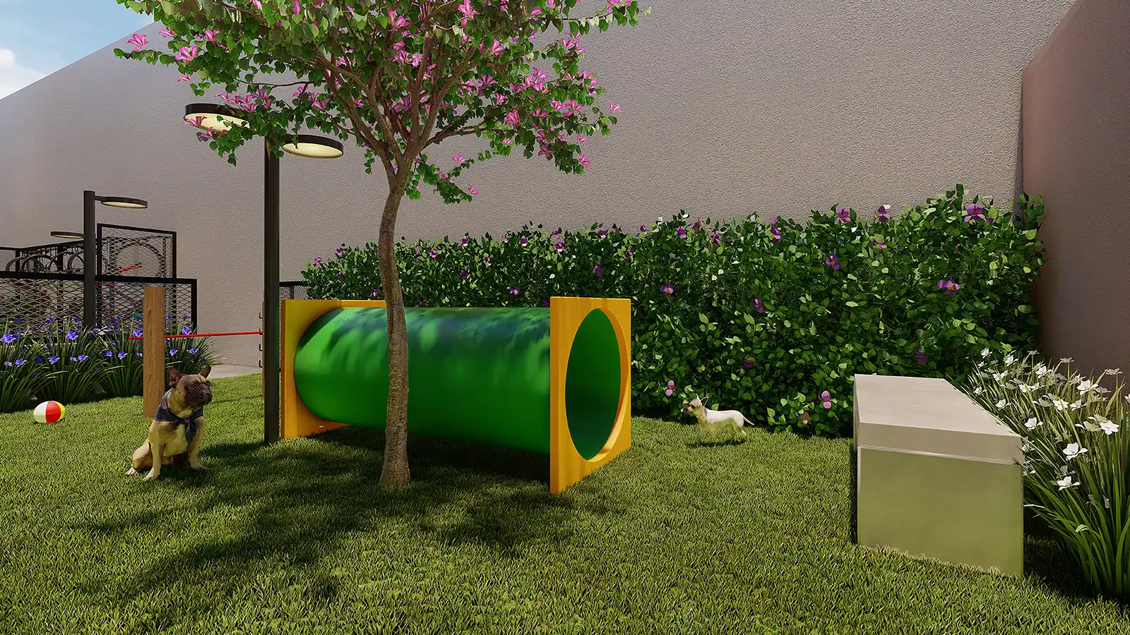 How do I become a Cnpj in Brazil31